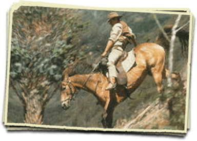 The man from Snowy River