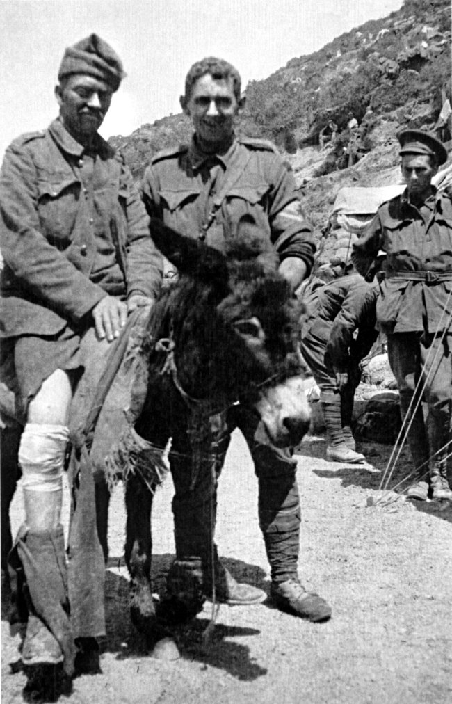 Simpson and his Donkey Simpson and his Donkey
