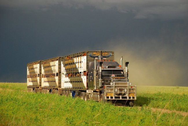 Truckies Truckies