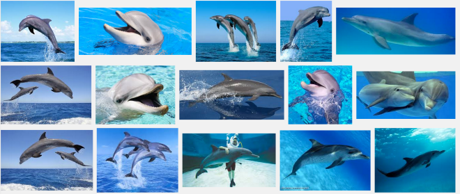 Screen Shot 2014-11-24 at 10.30.18 am